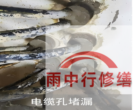 江苏电缆线空洞堵漏加固案例