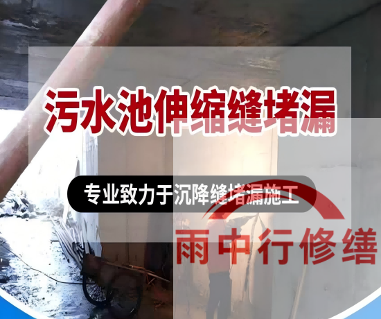 江苏某污水处理厂钢筋混凝土池堵漏案例